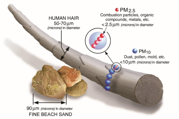 PM2.5