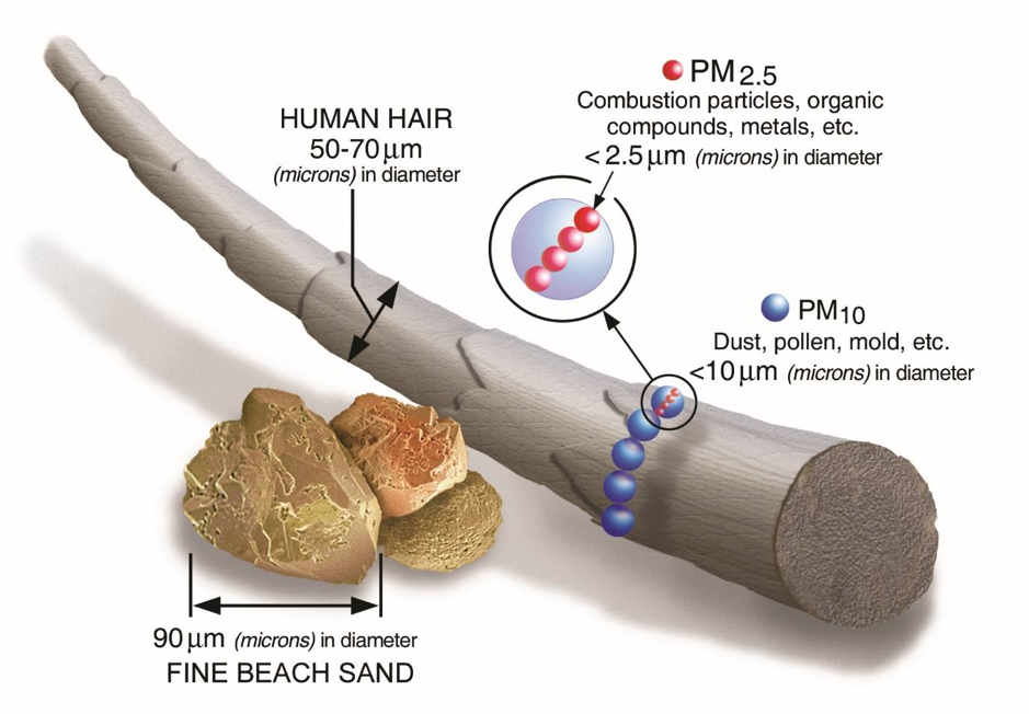 PM2.5