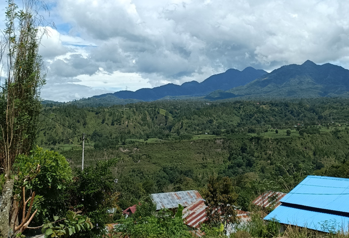 tanah gayo