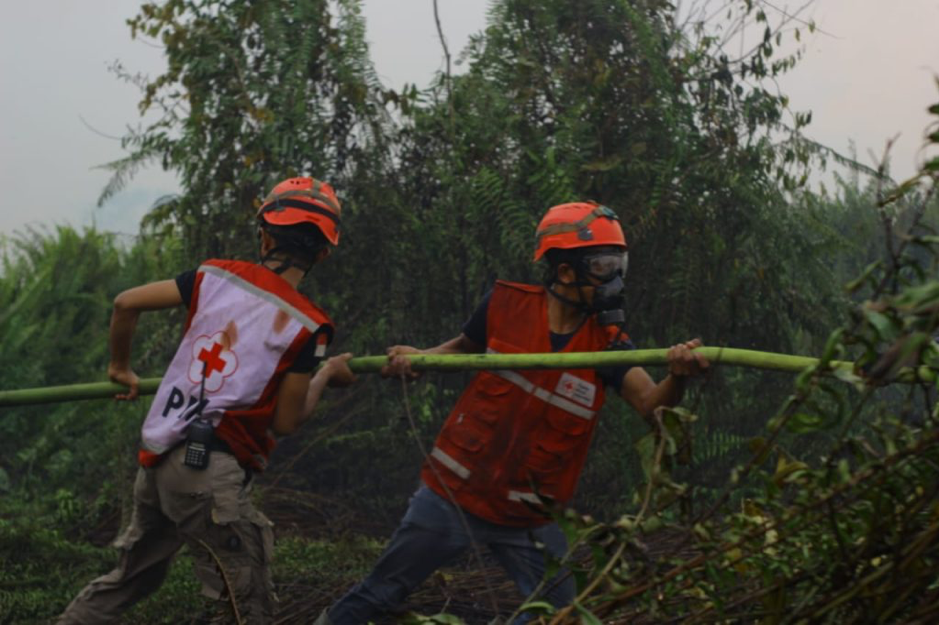 kebakaran hutan