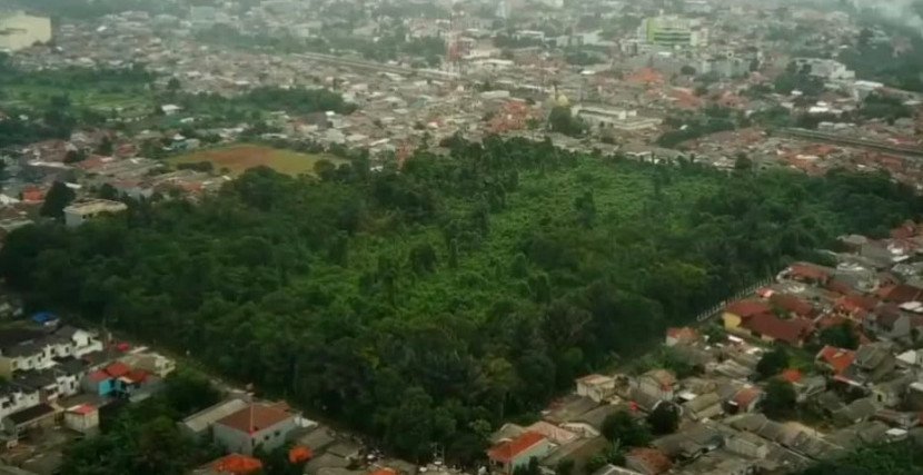taman hutan