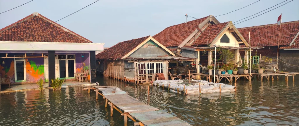 ekologi
