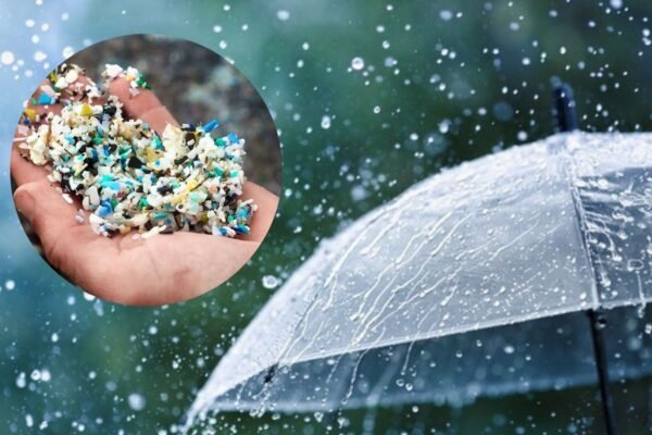 Hujan Mengandung Mikroplastik, Bencana Baru ?