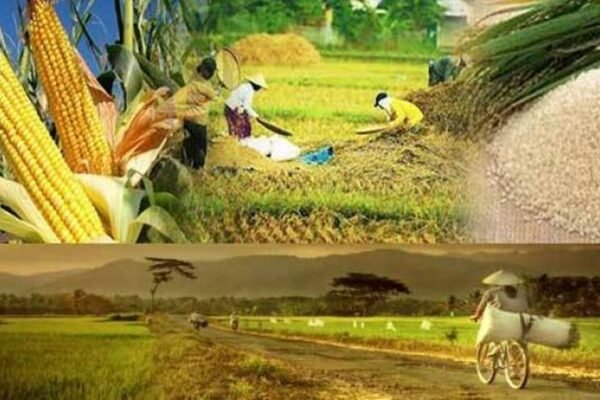 Belajar Ketahanan Pangan Kota, 4 Tempat Ini Wajib Kamu Kunjungi!